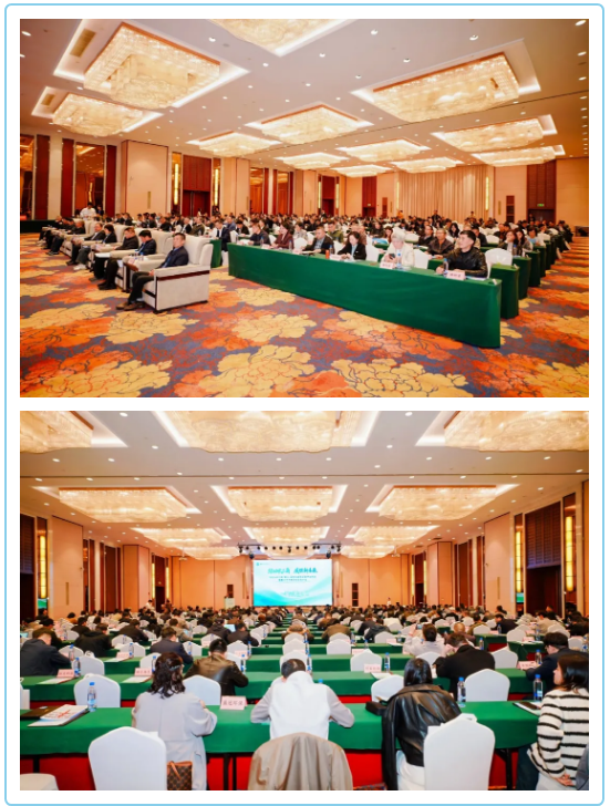 1775537606929724.png 6831c184-c89a-48ca-a3a1-61f0694b8a95.png