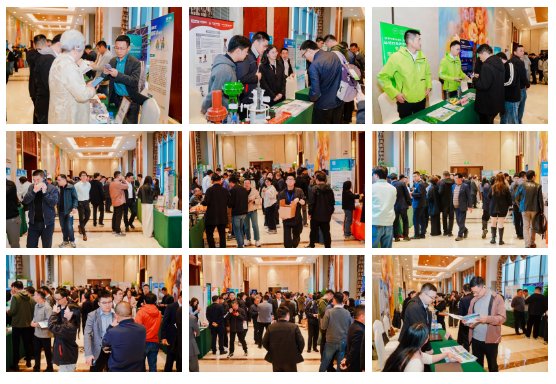 1775538249942358.png 4faa939f-5c34-42f8-816a-22cf3a1083ae.png